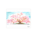 Shidare Sakura: Postcard